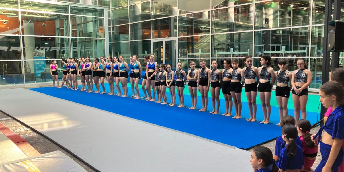 Saggio di Ginnastica Artistica